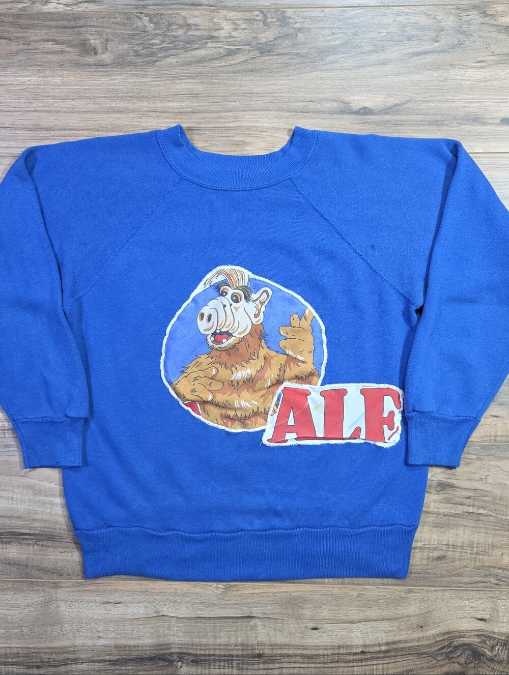 Pannill 80s ALF Graphic Sweatshirt Blue Medium Men